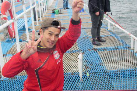 オリジナルメーカー海づり公園(市原市海づり施設) 釣果