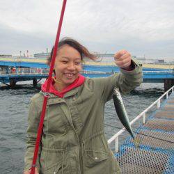 オリジナルメーカー海づり公園(市原市海づり施設) 釣果