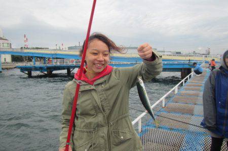 オリジナルメーカー海づり公園(市原市海づり施設) 釣果