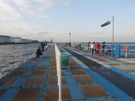 オリジナルメーカー海づり公園(市原市海づり施設) 釣果