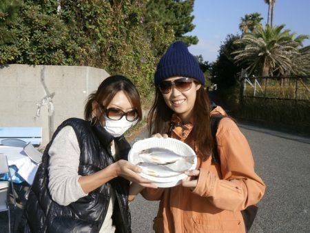 大阪南港海つり公園 釣果