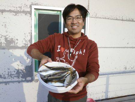 大阪南港海つり公園 釣果