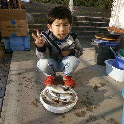 大阪南港海つり公園 釣果