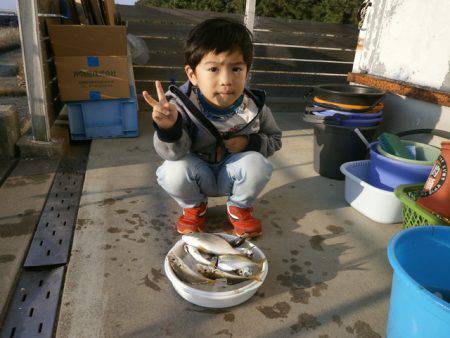 大阪南港海つり公園 釣果