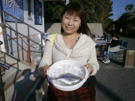 大阪南港海つり公園 釣果