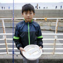 大阪南港海つり公園 釣果