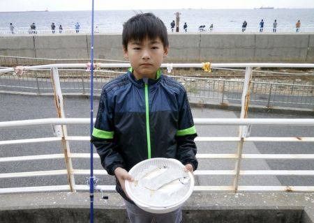 大阪南港海つり公園 釣果
