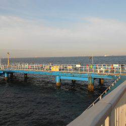 オリジナルメーカー海づり公園(市原市海づり施設) 釣果