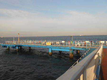 オリジナルメーカー海づり公園(市原市海づり施設) 釣果