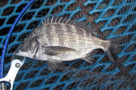 オリジナルメーカー海づり公園(市原市海づり…