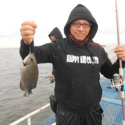 オリジナルメーカー海づり公園(市原市海づり施設) 釣果
