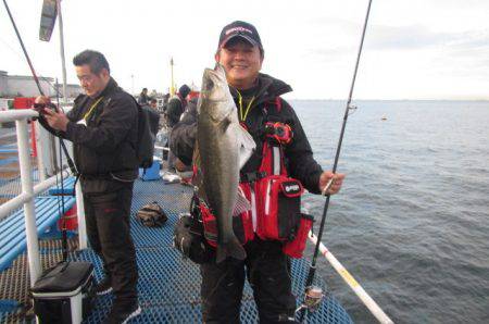 オリジナルメーカー海づり公園(市原市海づり…