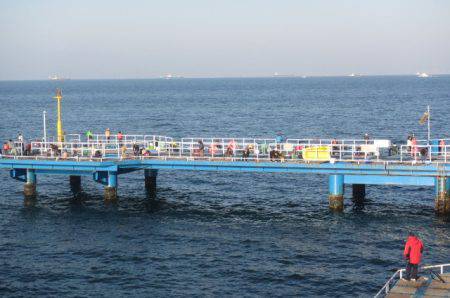 オリジナルメーカー海づり公園(市原市海づり施設) 釣果