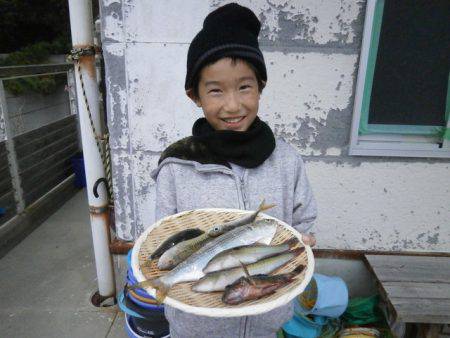 大阪南港海つり公園 釣果