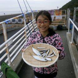 大阪南港海つり公園 釣果