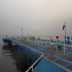 オリジナルメーカー海づり公園(市原市海づり施設) 釣果