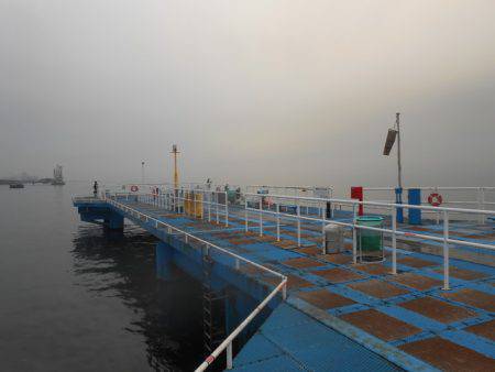 オリジナルメーカー海づり公園(市原市海づり施設) 釣果