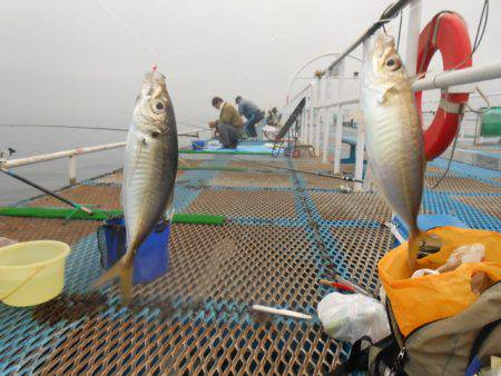オリジナルメーカー海づり公園(市原市海づり…