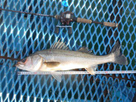 オリジナルメーカー海づり公園(市原市海づり…