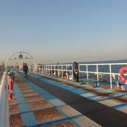 オリジナルメーカー海づり公園(市原市海づり施設) 釣果