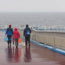 オリジナルメーカー海づり公園(市原市海づり施設) 釣果