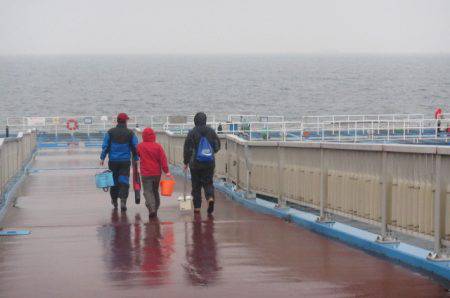 オリジナルメーカー海づり公園(市原市海づり施設) 釣果