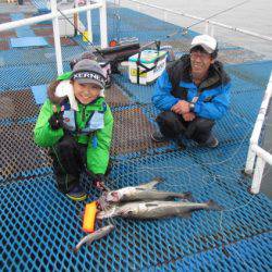 オリジナルメーカー海づり公園(市原市海づり施設) 釣果