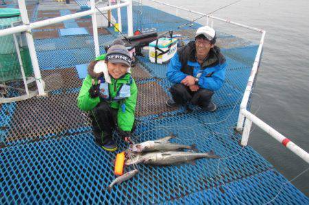 オリジナルメーカー海づり公園(市原市海づり施設) 釣果