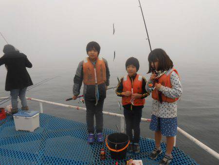 オリジナルメーカー海づり公園(市原市海づり施設) 釣果