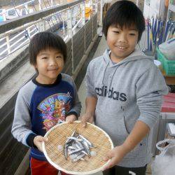 大阪南港海つり公園 釣果