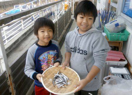 大阪南港海つり公園 釣果