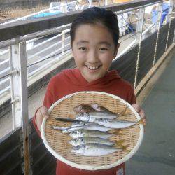 大阪南港海つり公園 釣果