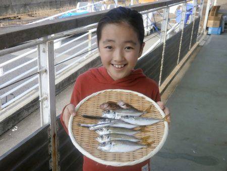 大阪南港海つり公園 釣果