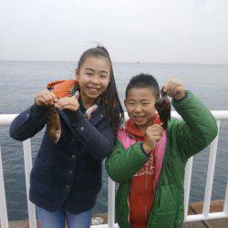 大阪南港海つり公園 釣果