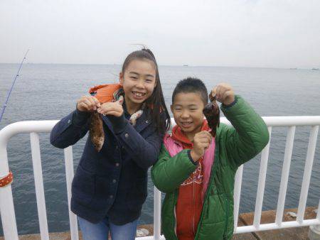 大阪南港海つり公園 釣果