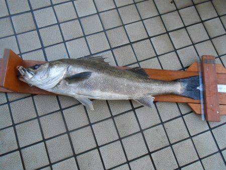 オリジナルメーカー海づり公園(市原市海づり…