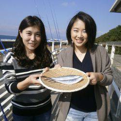 大阪南港海つり公園 釣果