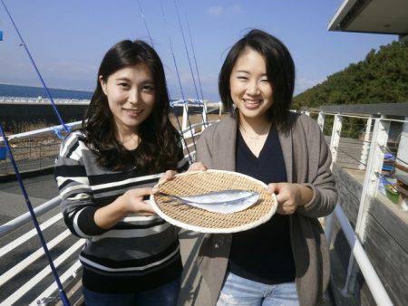 大阪南港海つり公園 釣果