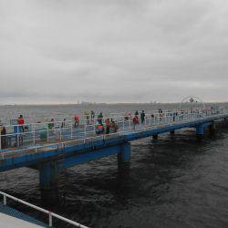 オリジナルメーカー海づり公園(市原市海づり施設) 釣果