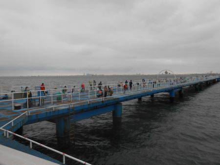 オリジナルメーカー海づり公園(市原市海づり施設) 釣果