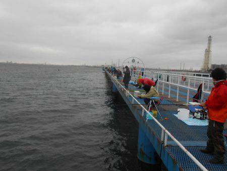 オリジナルメーカー海づり公園(市原市海づり施設) 釣果