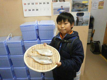 大阪南港海つり公園 釣果