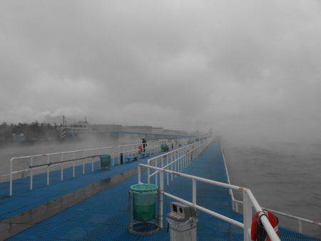 オリジナルメーカー海づり公園(市原市海づり施設) 釣果