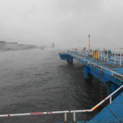 オリジナルメーカー海づり公園(市原市海づり施設) 釣果