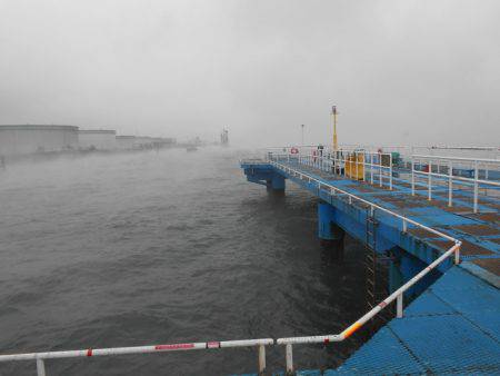 オリジナルメーカー海づり公園(市原市海づり施設) 釣果