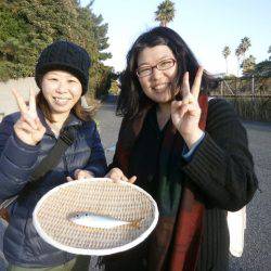 大阪南港海つり公園 釣果