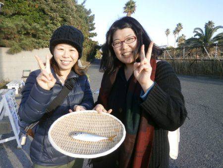 大阪南港海つり公園 釣果