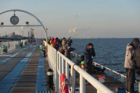 オリジナルメーカー海づり公園(市原市海づり施設) 釣果