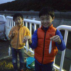 大阪南港海つり公園 釣果