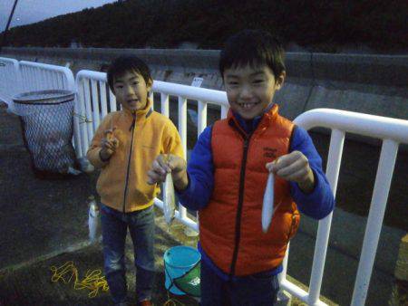 大阪南港海つり公園 釣果